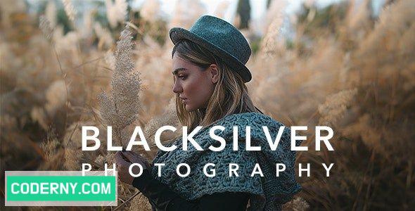 Blacksilver v9.3 WordPress Theme